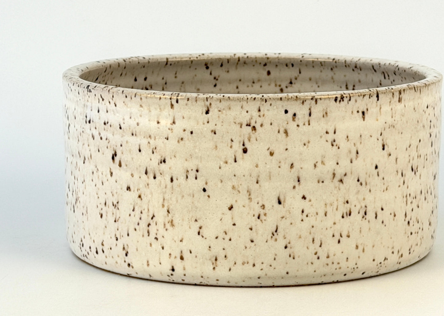 Tessera Collection Pet Bowl | One of a Kind Geometric Pottery