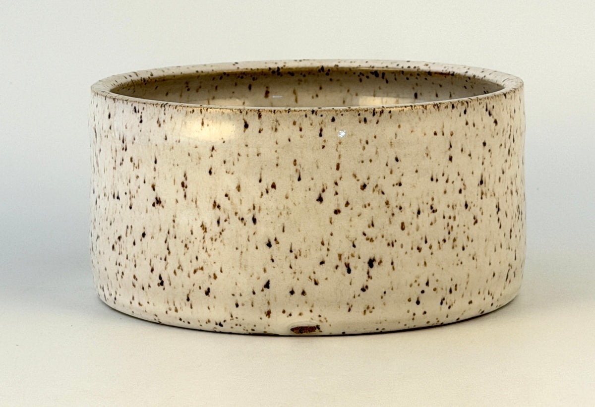 Tessera Collection Pet Bowl | One of a Kind Geometric Pottery